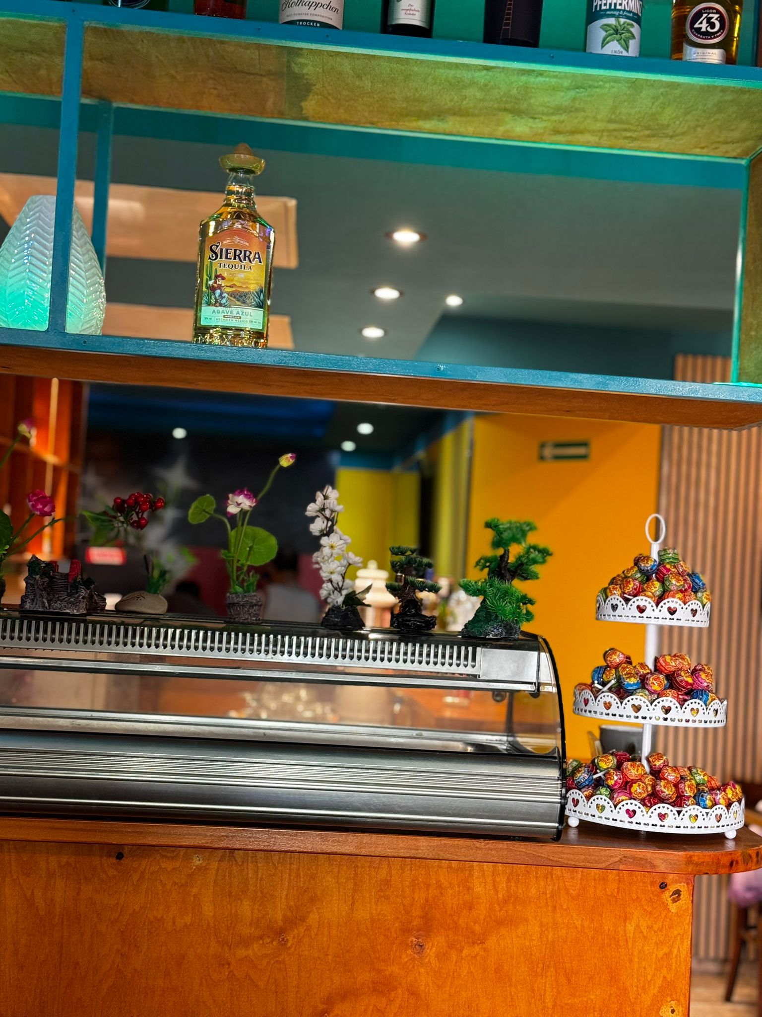 Sushi-Zubereitungsbereich mit frischen Zutaten und Vitrine